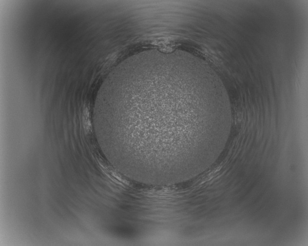 X0000068721106200605010926