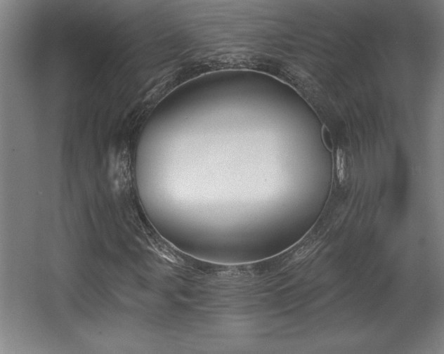 X0000068721107200605010926