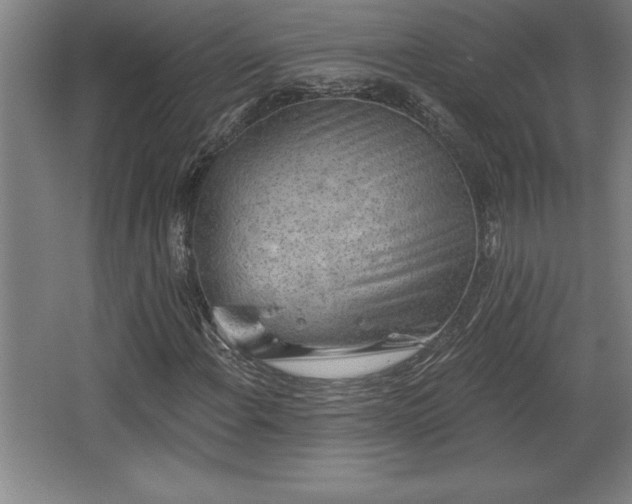 X0000068721108200605010926