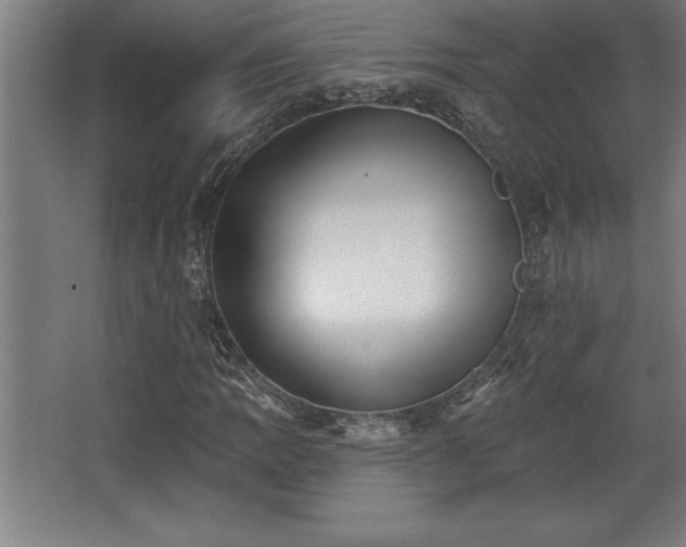 X0000068721109200605010926