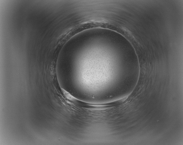 X0000068721110200605010926