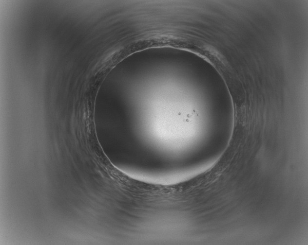 X0000068721111200605010926