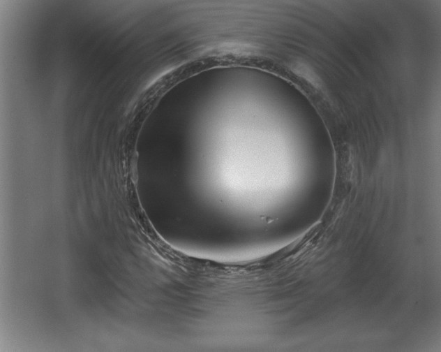 X0000068721112200605010926