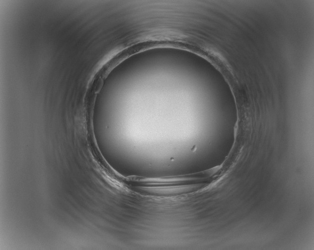 X0000068721114200605010926