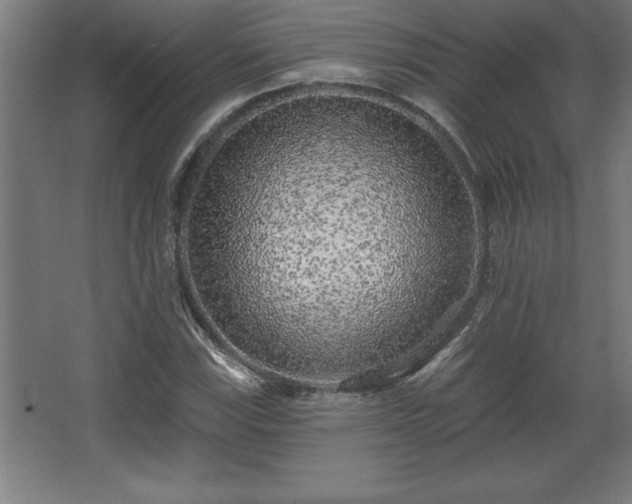 X0000068721115200605010926