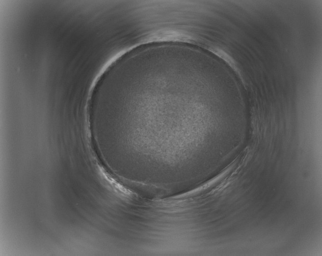 X0000068721120200605010926