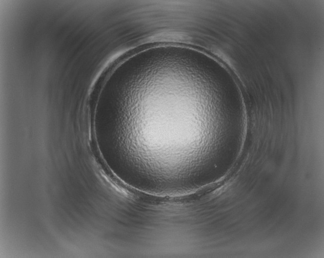 X0000068721123200605010926