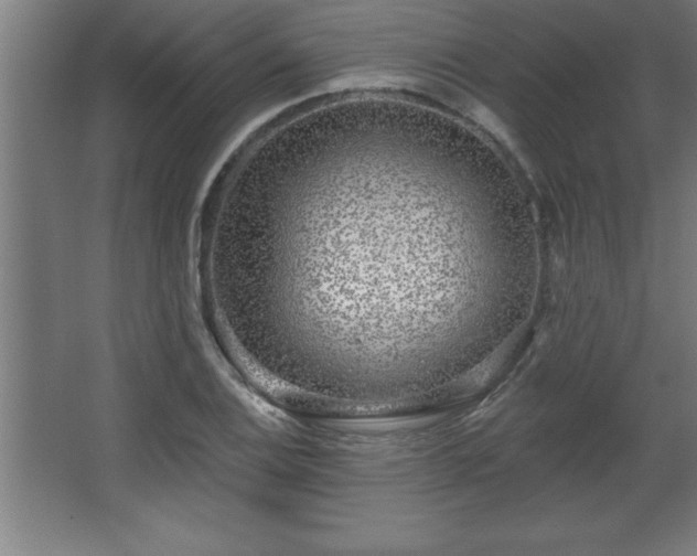 X0000068721124200605010926