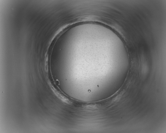 X0000068721126200605010926