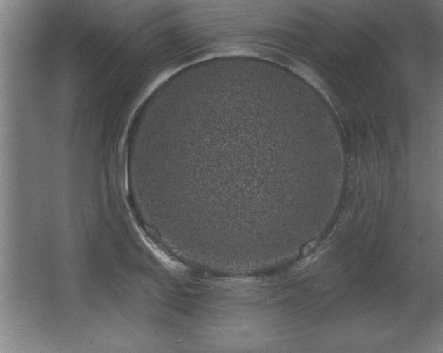 X0000068721127200605010926