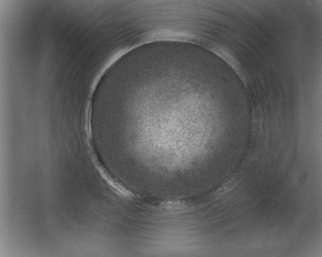 X0000068721128200605010926