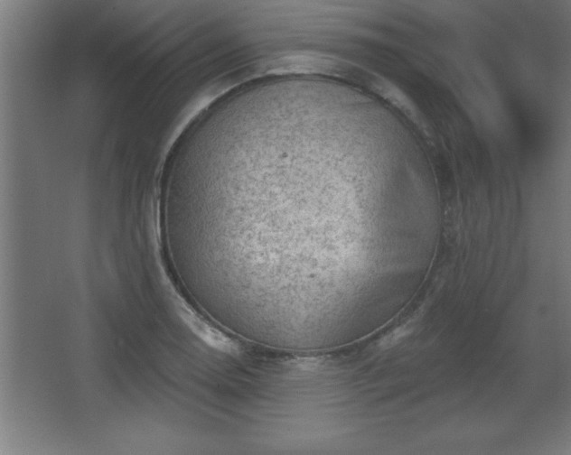 X0000068721130200605010926