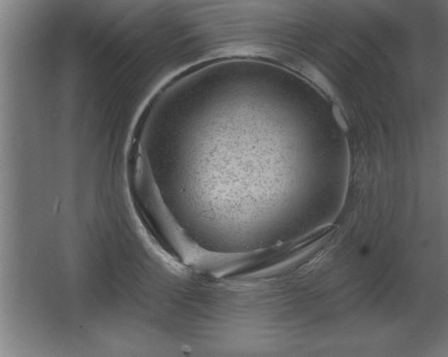 X0000068721132200605010926