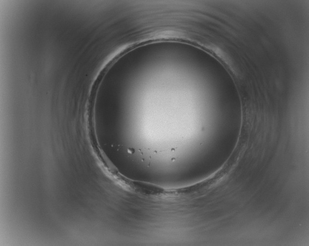 X0000068721134200605010926