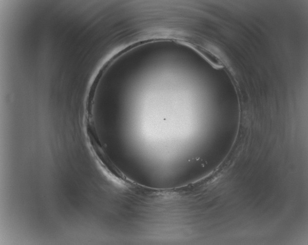 X0000068721136200605010926