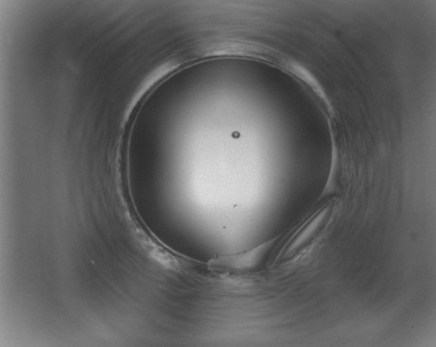 X0000068721138200605010927