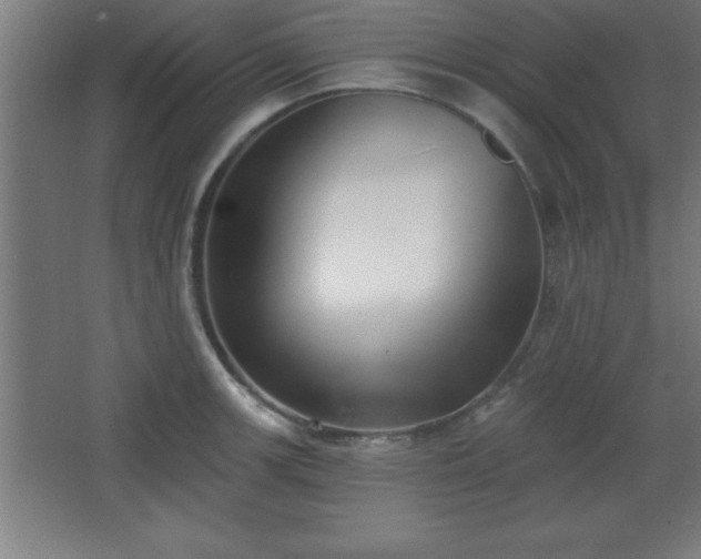 X0000068721139200605010927