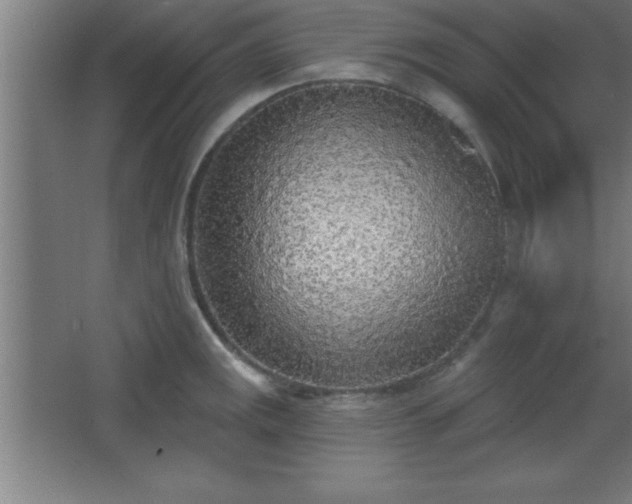 X0000068721141200605010927