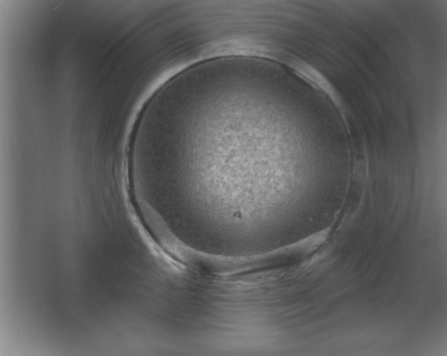 X0000068721144200605010927