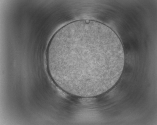 X0000068721150200605010927