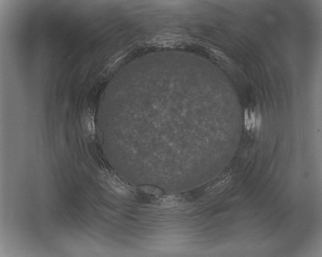 X0000068721155200605010926