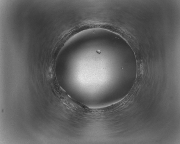 X0000068721157200605010926