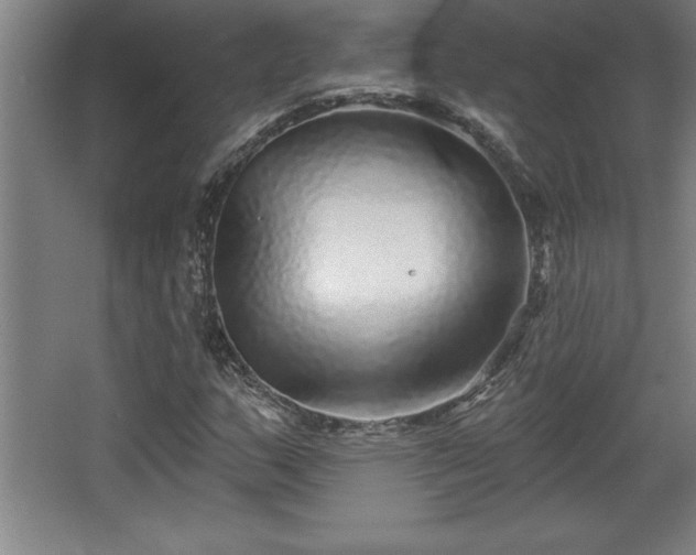 X0000068721159200605010926