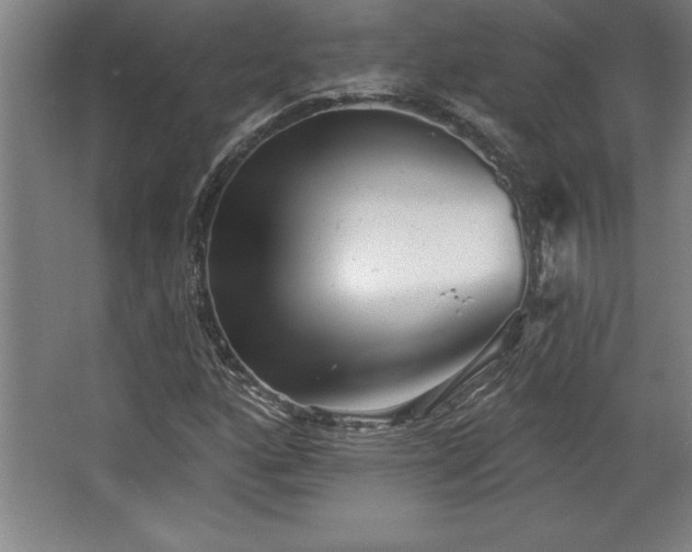 X0000068721160200605010926