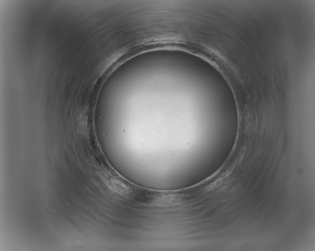 X0000068721162200605010926