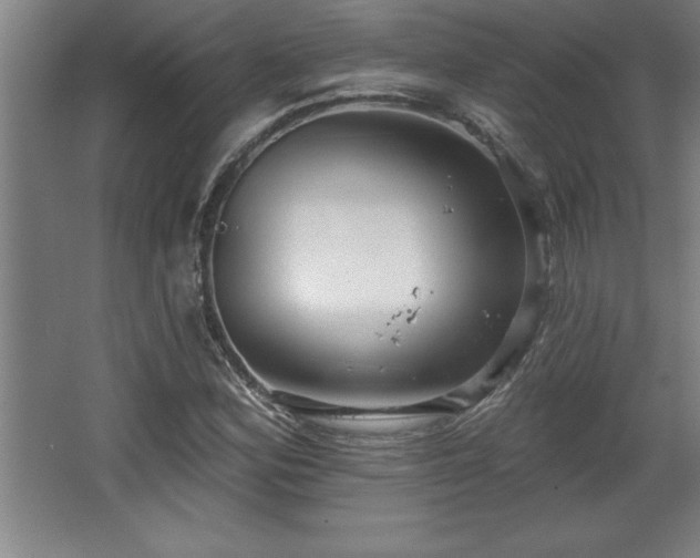 X0000068721164200605010926