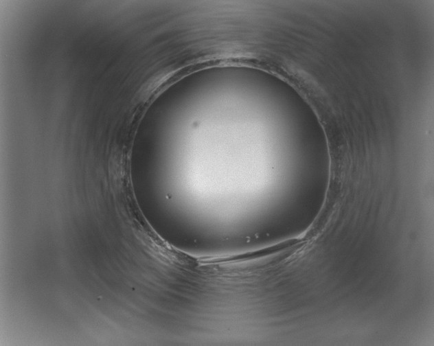 X0000068721169200605010926