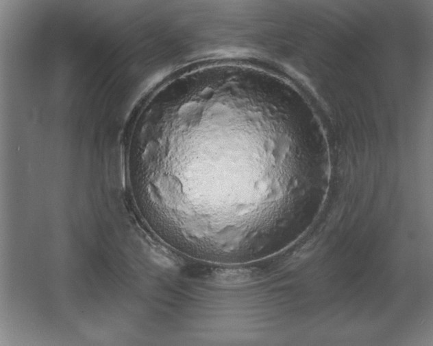 X0000068721171200605010926