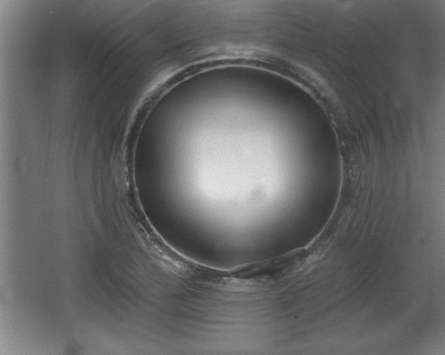 X0000068721172200605010926