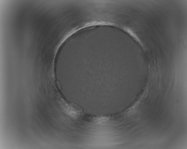 X0000068721173200605010926