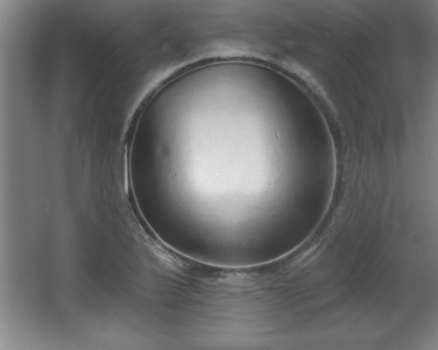 X0000068721175200605010926