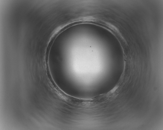 X0000068721176200605010926