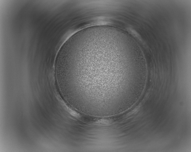 X0000068721178200605010926