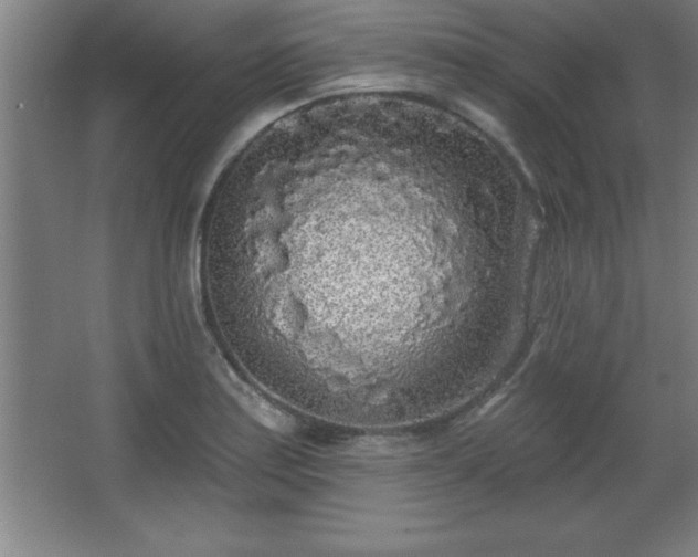 X0000068721179200605010926