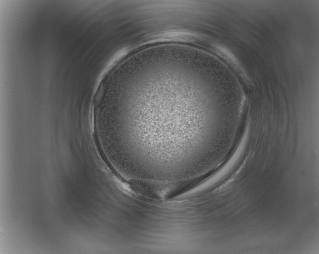 X0000068721180200605010925