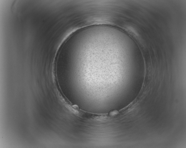 X0000068721182200605010925