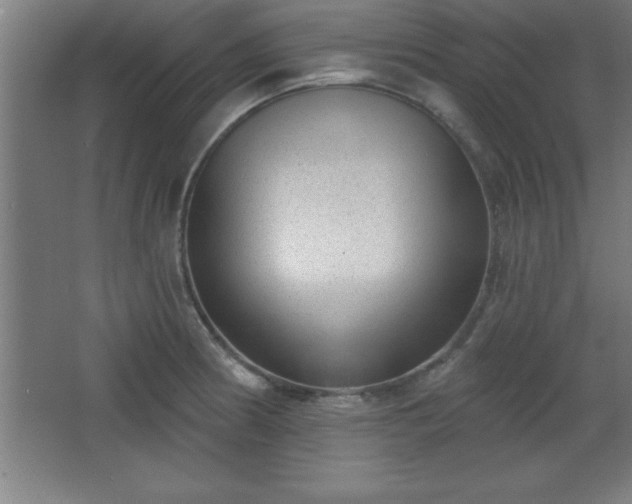 X0000068721186200605010925