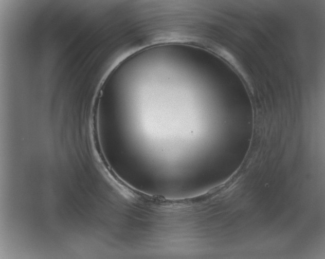 X0000068721187200605010925