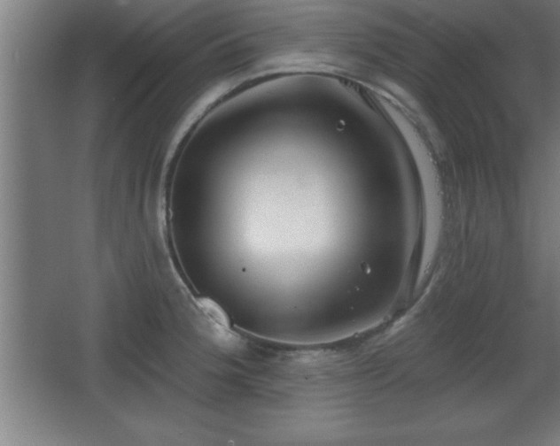 X0000068721188200605010925