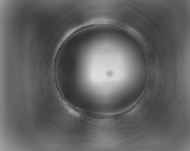 X0000068721192200605010925