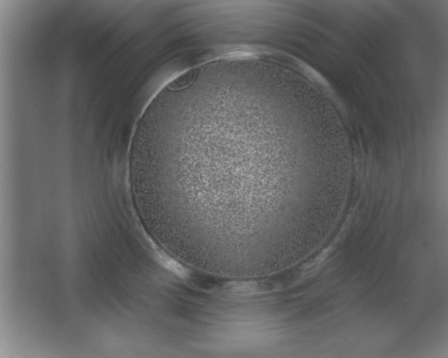 X0000068721194200605010925