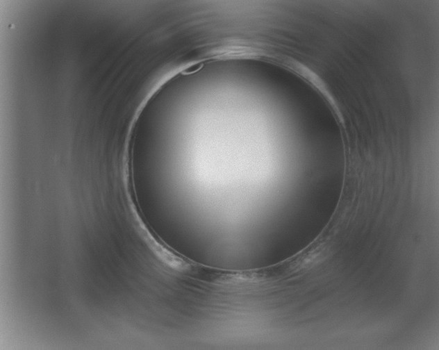 X0000068721195200605010925