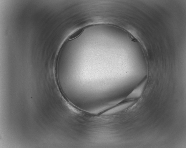 X0000068721197200605010925