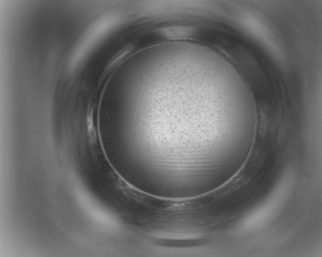 X0000068721198200605010925