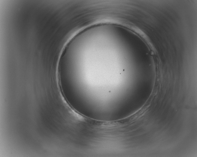 X0000068721199200605010925