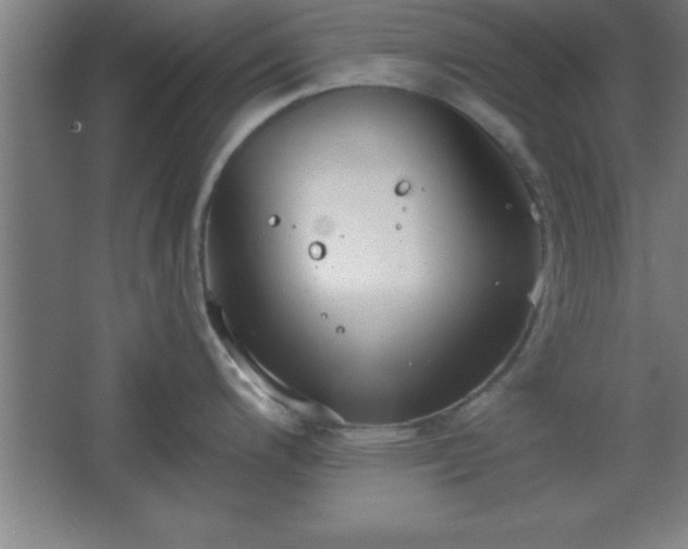 X0000068721200200605010925